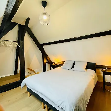 Rare Pepite - Duplex Confortable Au Coeur Des Places 公寓