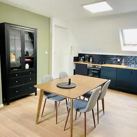 Rare Pepite - Duplex Confortable Au Coeur Des Places 公寓 *